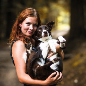 Jak nauczyć psa słuchać? Nagroda i pochwała.