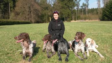 Jak wrócić do szkolenia i edukacji psów po wakacyjnej przerwie?