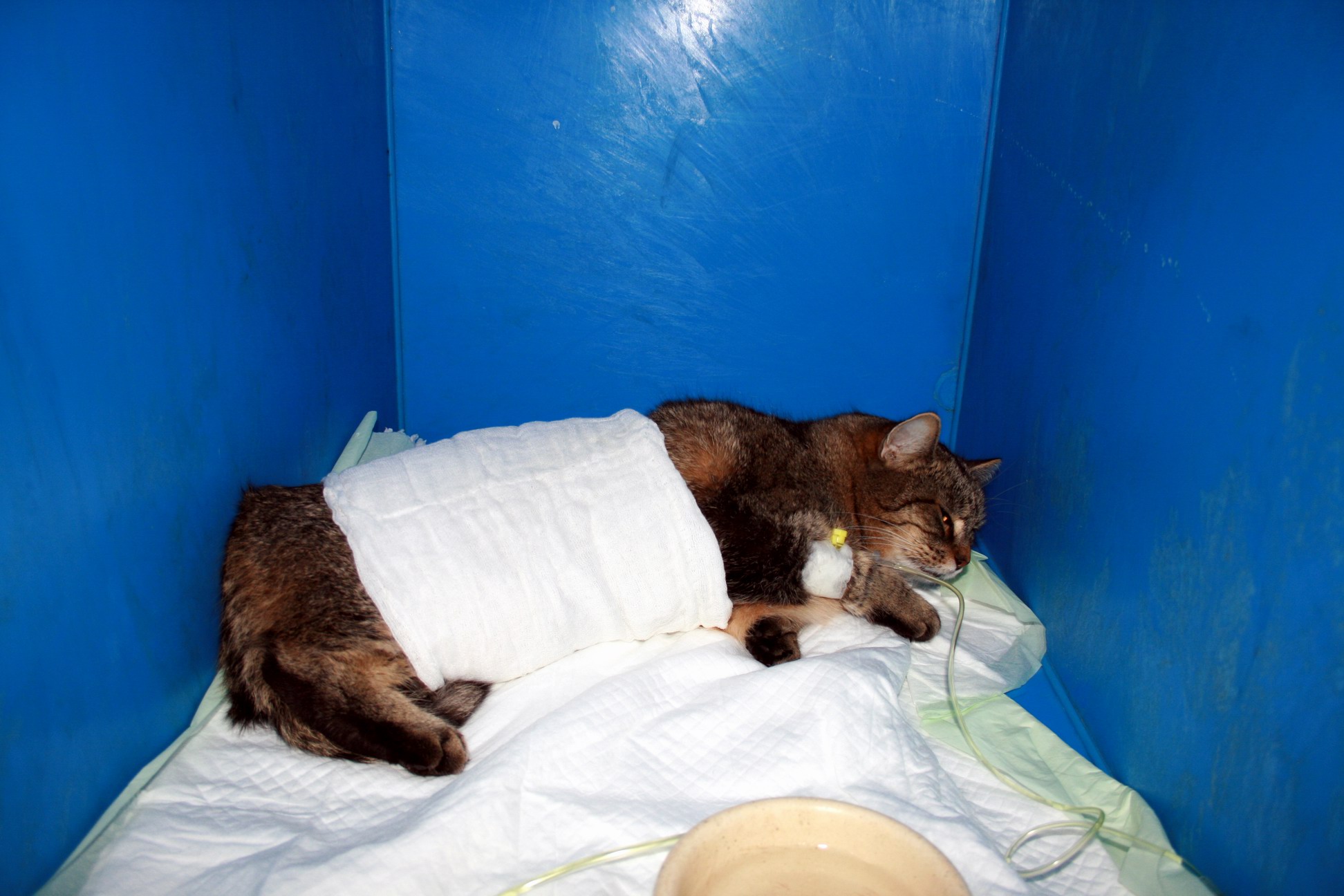 Opieka przedoperacyjna i pooperacyjna