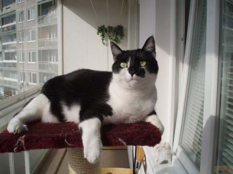 Niestrudzeni obserwatorzy