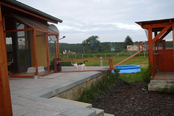 Tarasy, zagrody i woliery