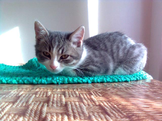 Krajowe Dni Otwartego Depozytu - 31.7. - 8.8.2010