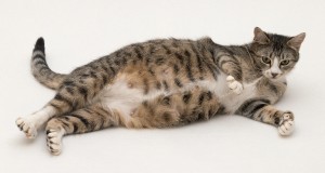 Czekając na młodych ...