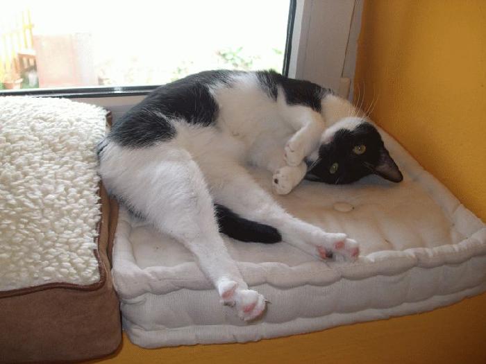 Do widzenia Bubáček, zostaniesz z nami na zawsze