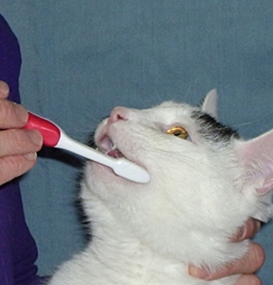 Podstawy opieki w pigułce