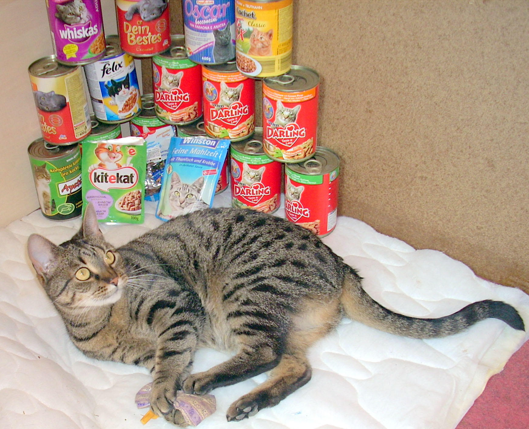 Kolęda - ponad 150 000 koron udaje się do schronów