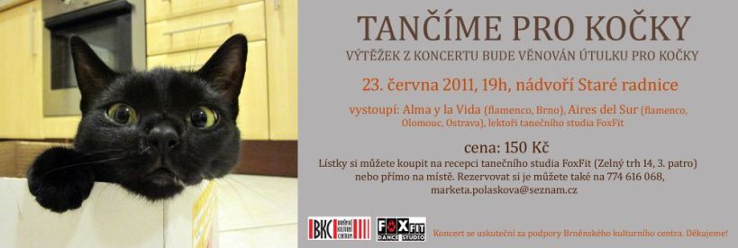 Korzystaj z tańca na korzyść Cats SOS Hodonin