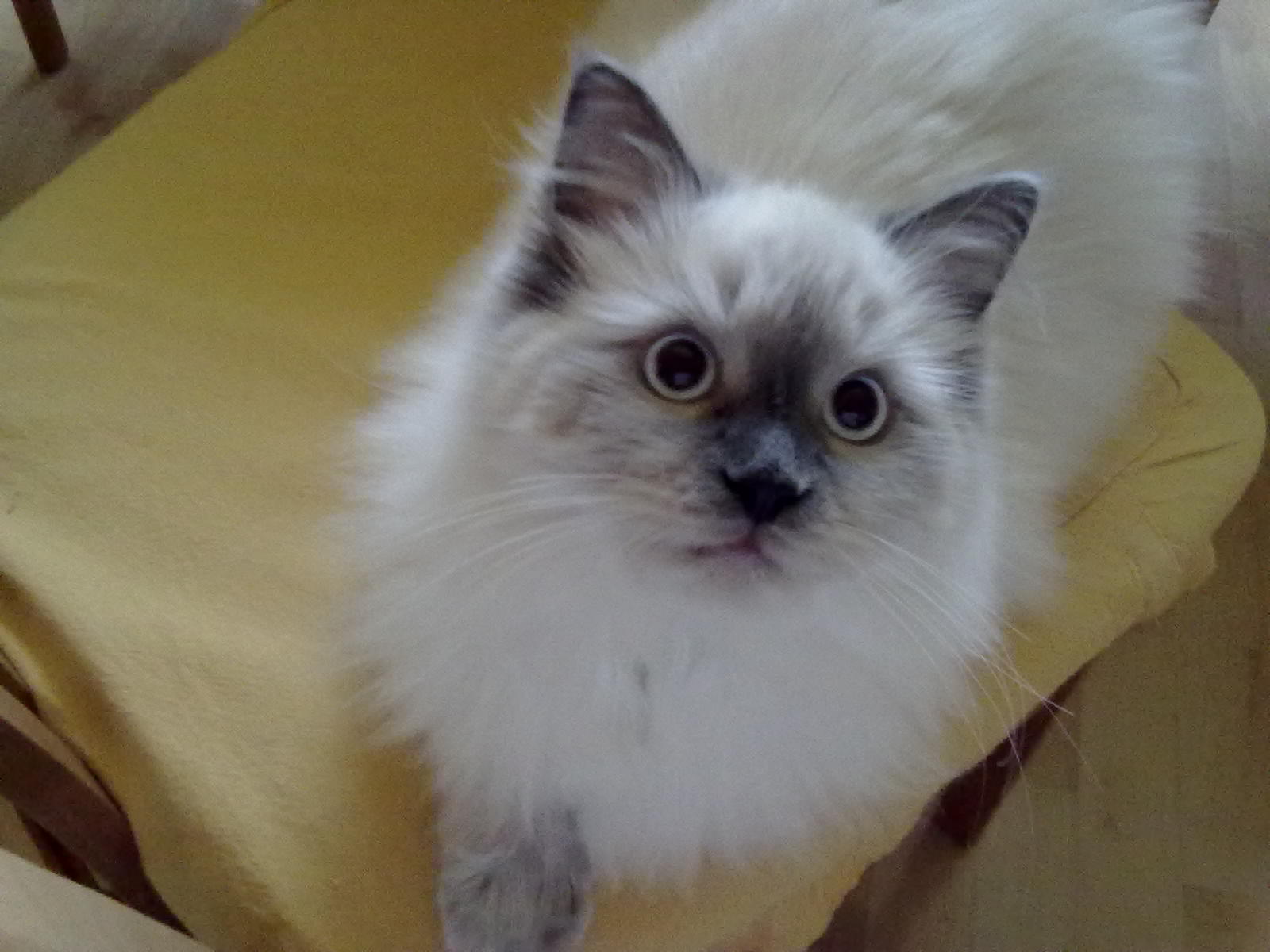 Niewygodne tagowanie