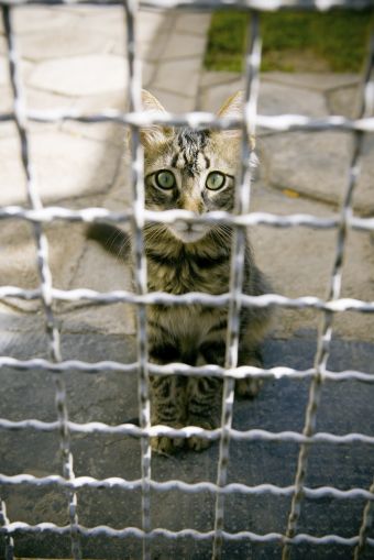 Miski w schronach są napełniane