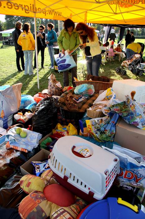 Zaproszenie na ŚWIATOWY DZIEŃ ZWIERZĄT