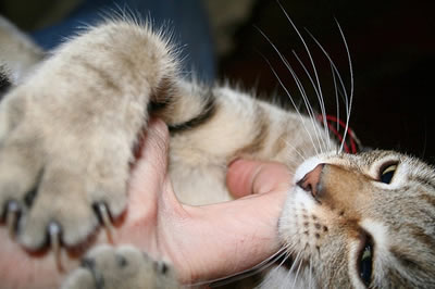 Czekaj, kuszę cię & # 8230;