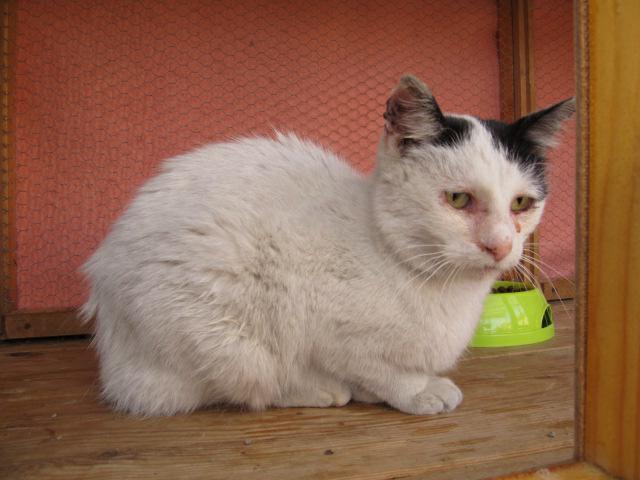 Pussy Gaia się przyznaje