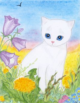 Biały kot na drodze