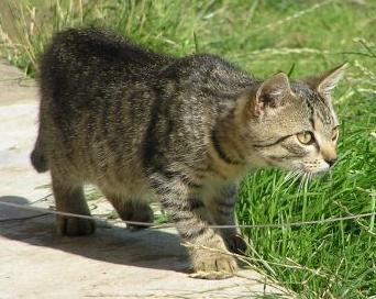 Martwię się o moje bezpieczeństwo!