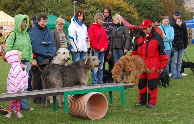 Zaproszenie: Światowy Dzień Zwierząt