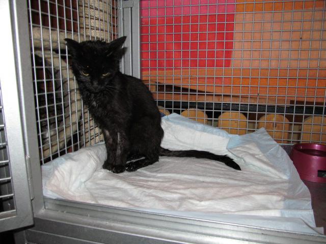 Píulka, smutne pożegnanie