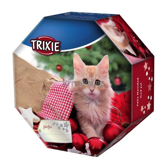 Wskazówki na prezenty świąteczne dla kota