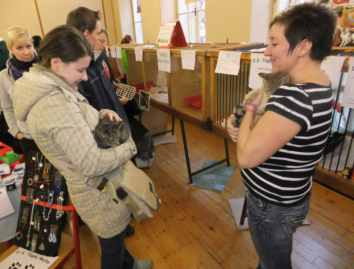 Zdjęcie: Jak się pokazało miejsce docelowe?