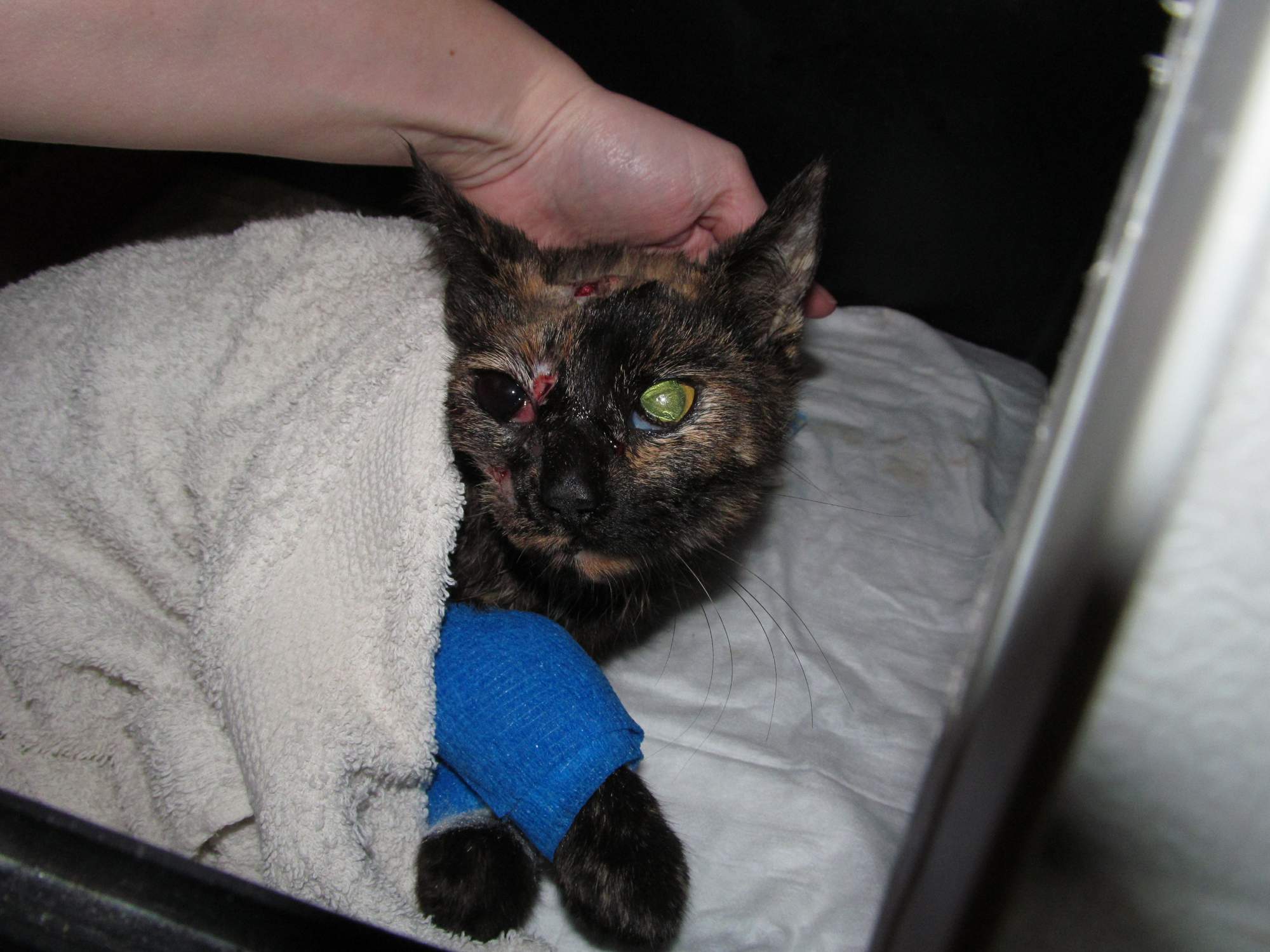 W cieniu sprawiedliwości - część 1