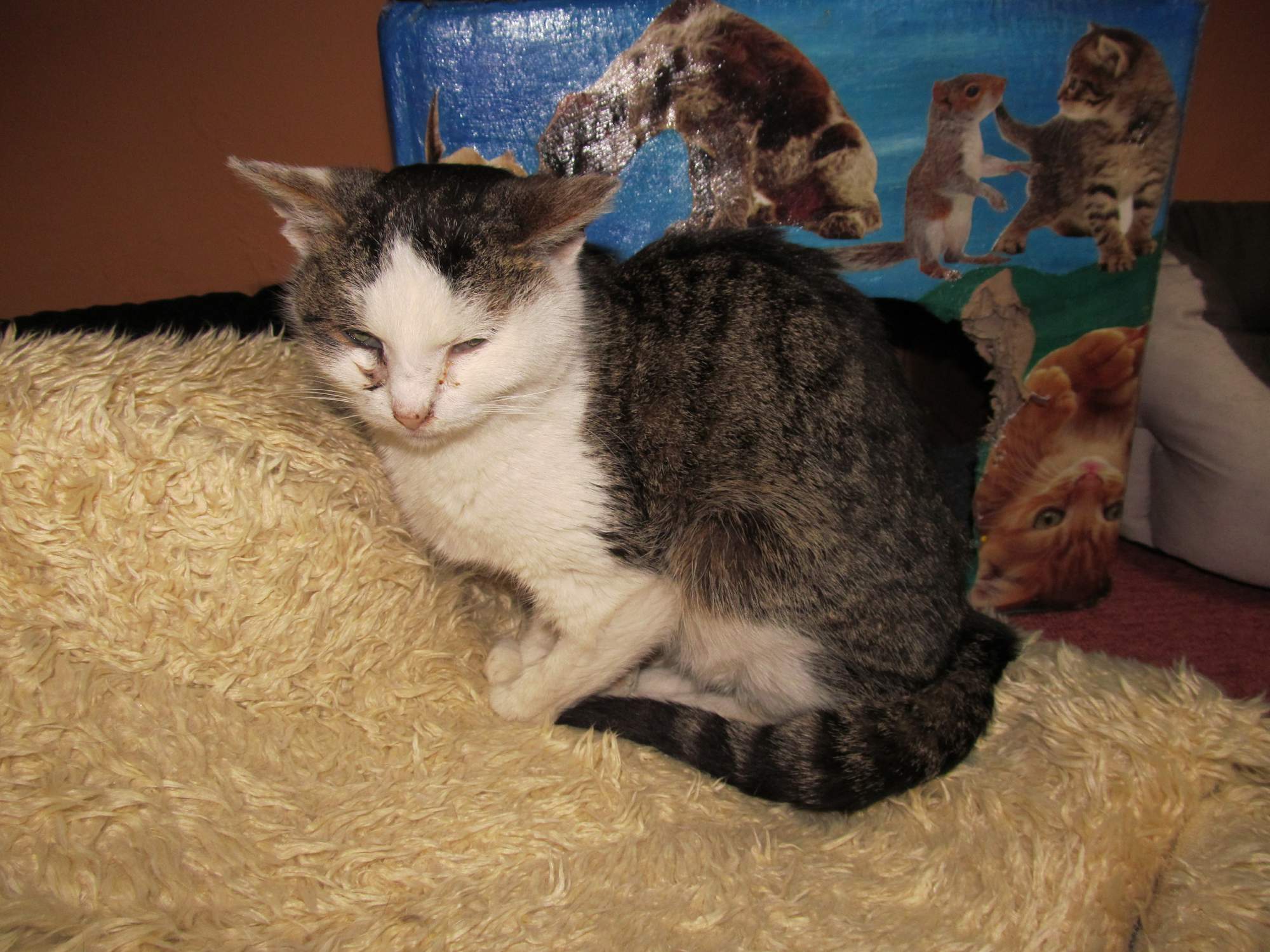 Pożegnanie ukochanej Ingrid