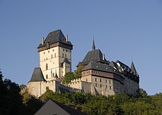 Zaproszenie: Kot ze schroniska jest również piękny!