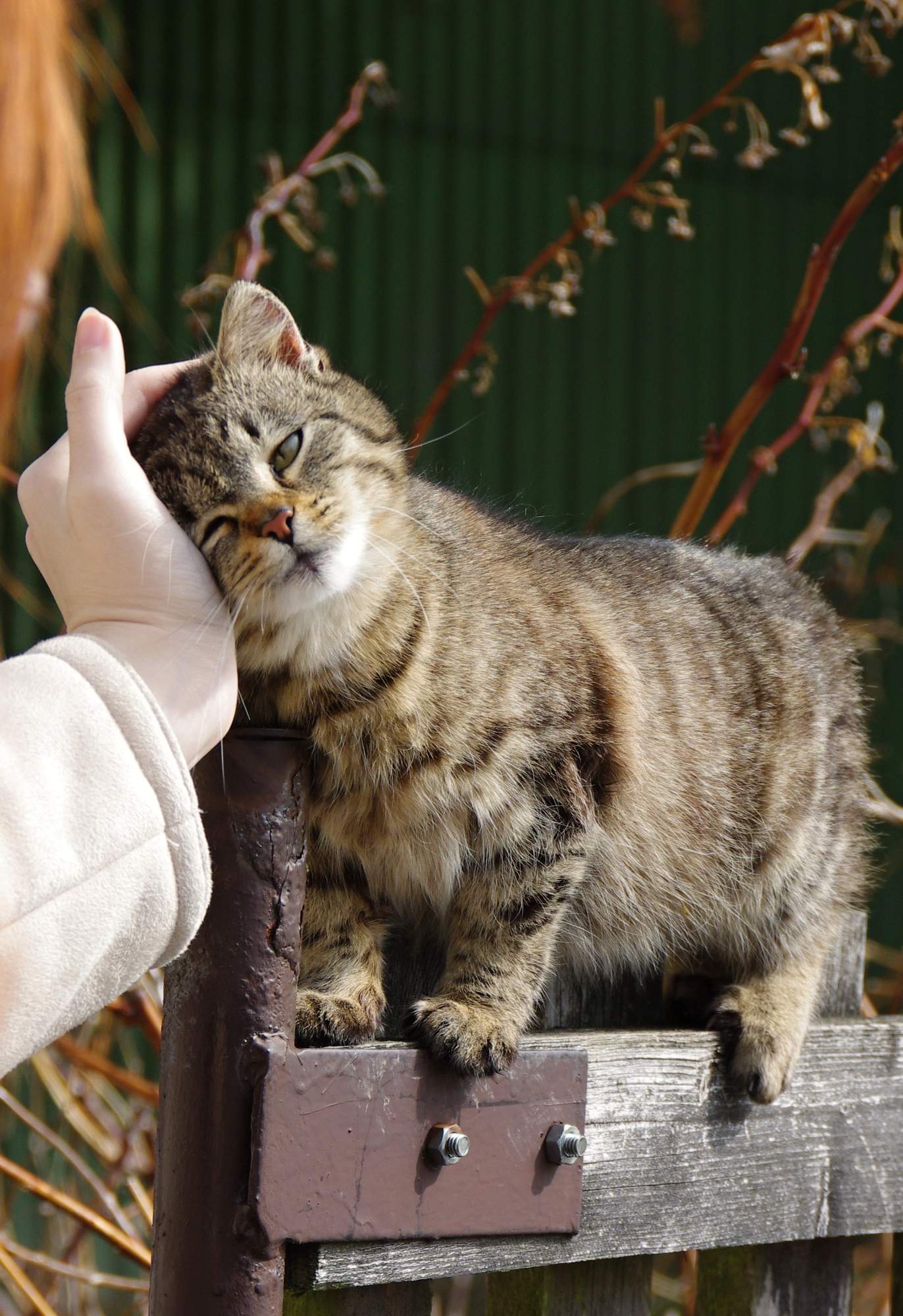 Dziesięć powodów, aby nie zaniedbywać ochrony przed pasożytami wewnętrznymi