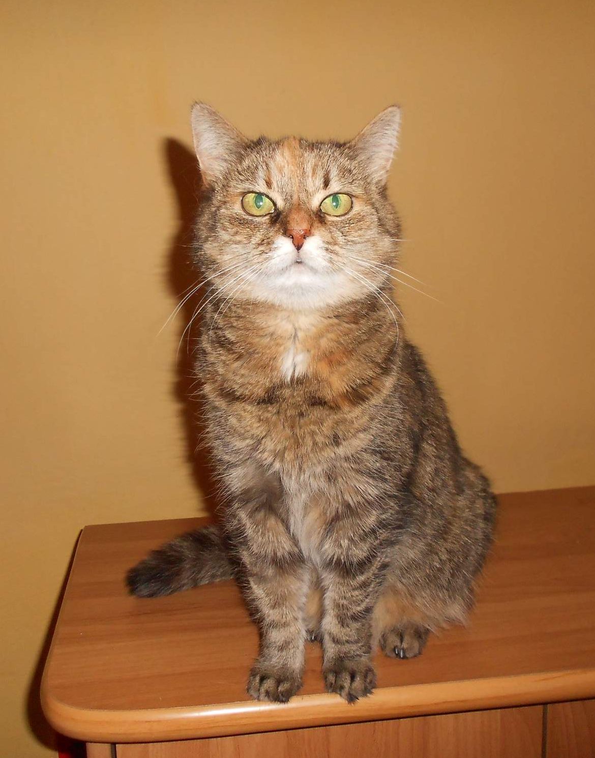 Mięsak Lollipop i po szczepieniu