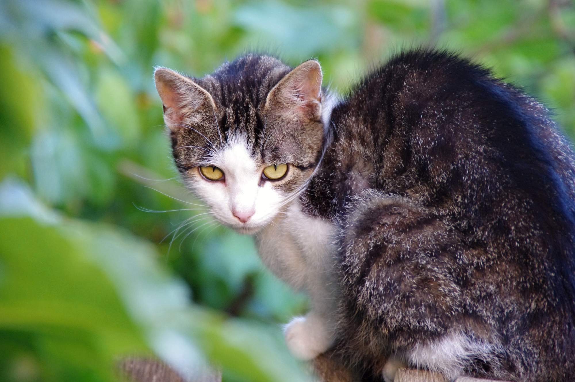 Nawet podczas wakacyjnych ataków pasożytów
