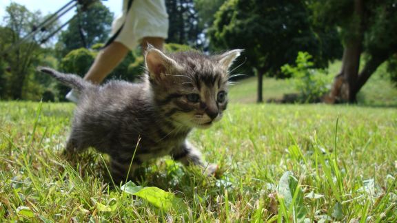 Po odrobieniu z powrotem do fitnessu