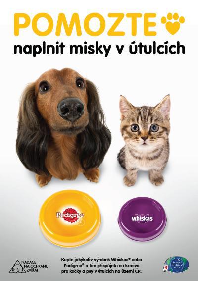 Kampania na rzecz schronisk powraca