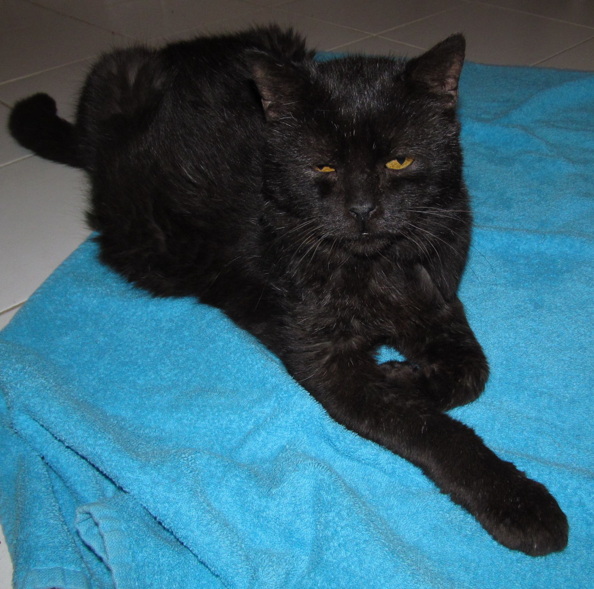 Od dobrego samopoczucia do samego dna & # 8211; 1.díl