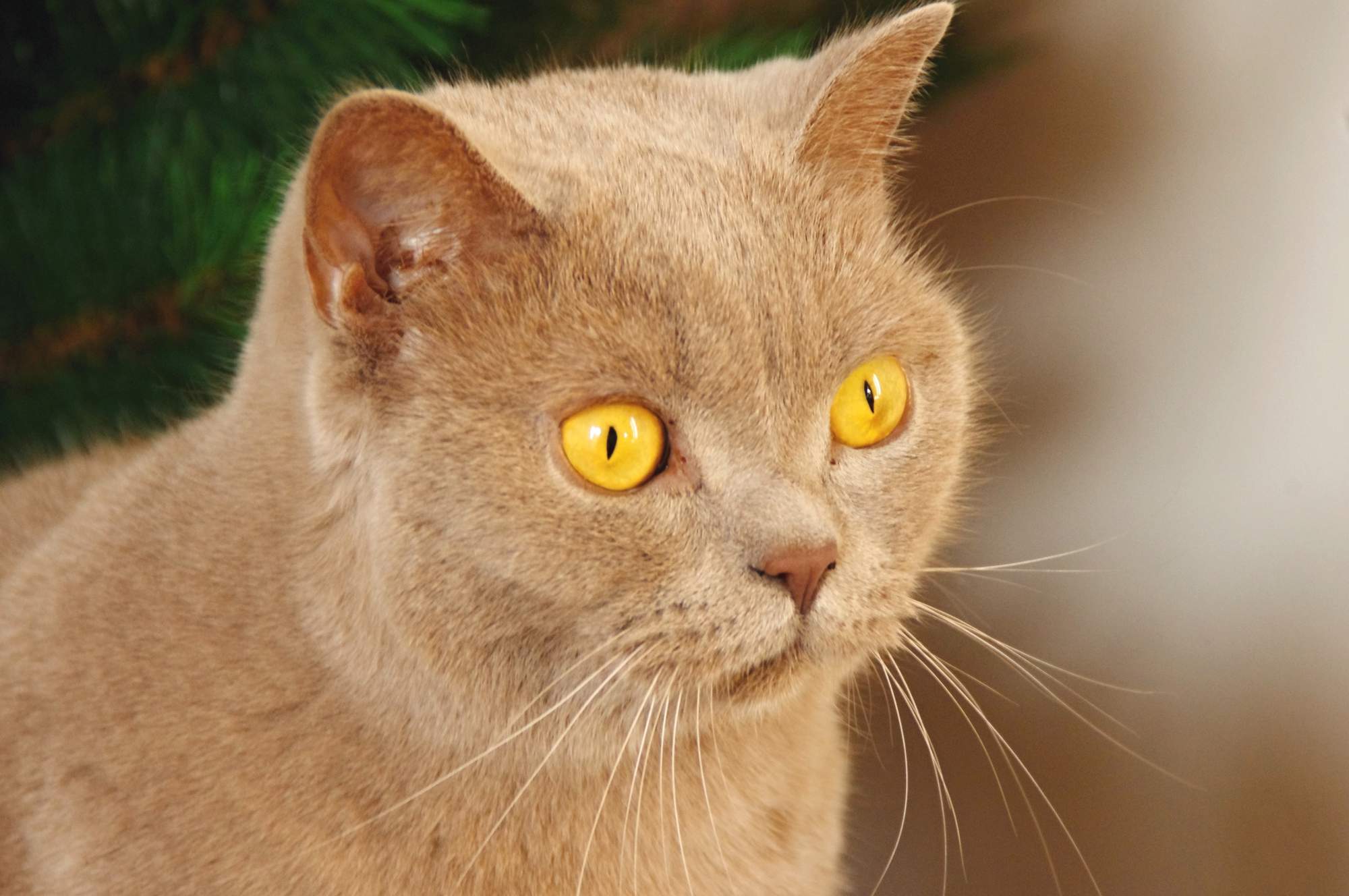 Zaproszenie na targi