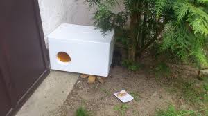 Pudełka ze styropianu