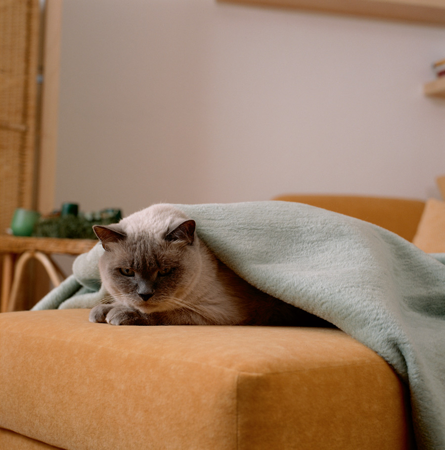 Nie daj pasożytom szansy, najlepszą obroną jest atak!