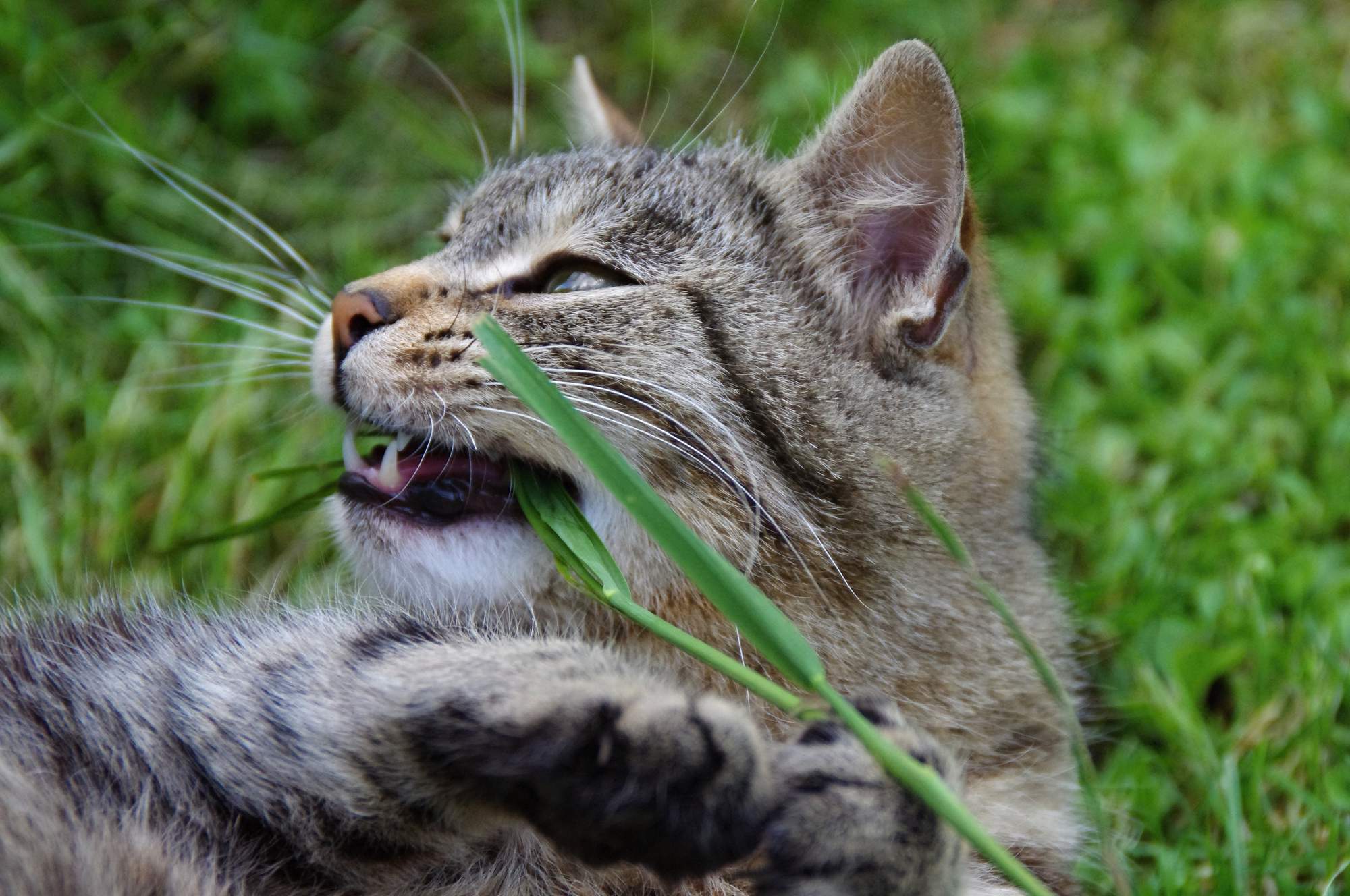 Mężczyźni wypędzili własnego ojca