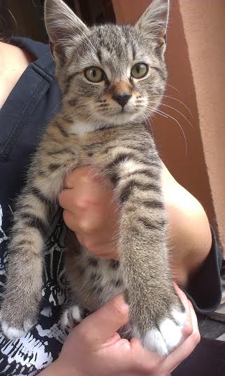 Miski w schronach są napełniane