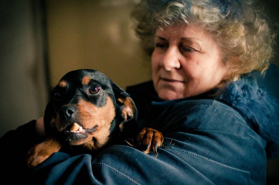 Skuteczność schronienia - Gaia Asylum