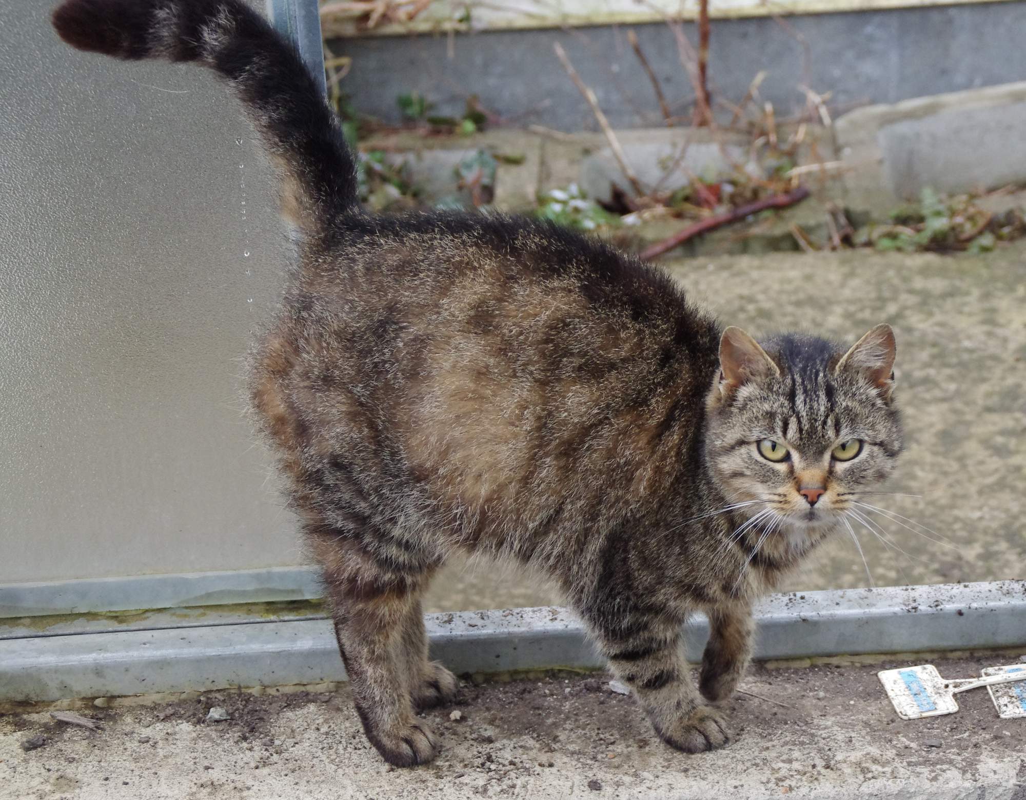 Pierwsze objawy choroby