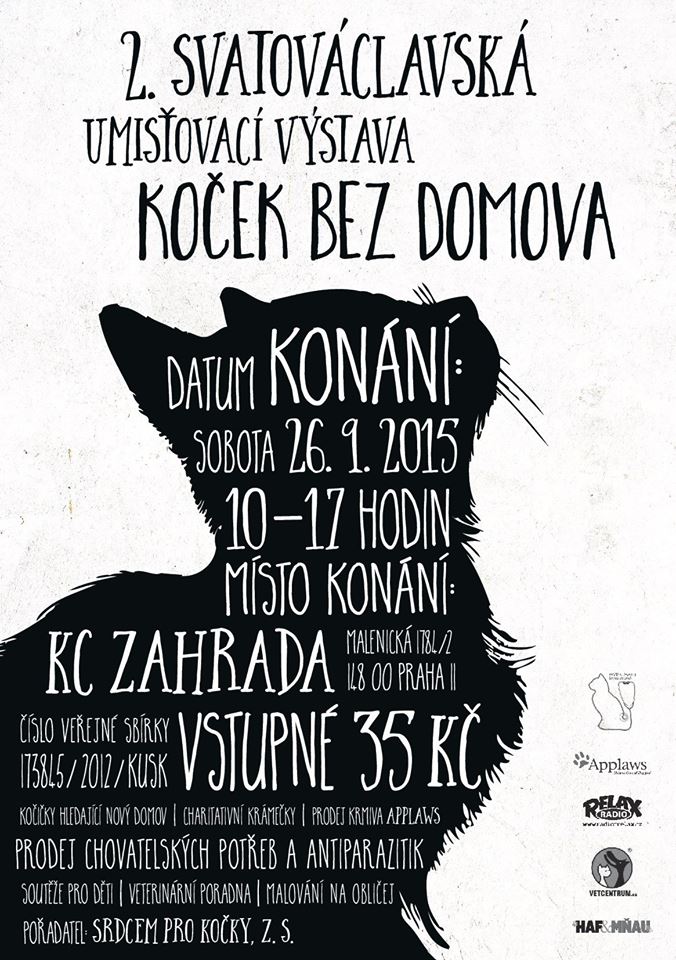 2. wystawa bezdomnych kotów St. Wacława