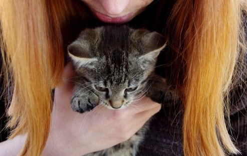 17 znaków, że spotkałeś wózek