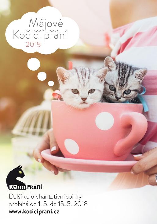Niech życzenie kota jest w toku