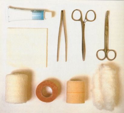 Udzielanie psu pierwszej pomocy