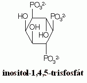Lecytyna - nie tylko część czekolady