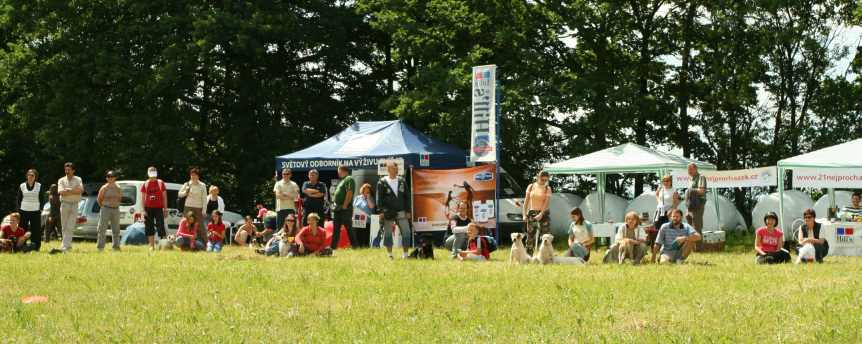 W Nowym Dworze koło Píska właściciele psów spotkali się na zwycięskim spacerze