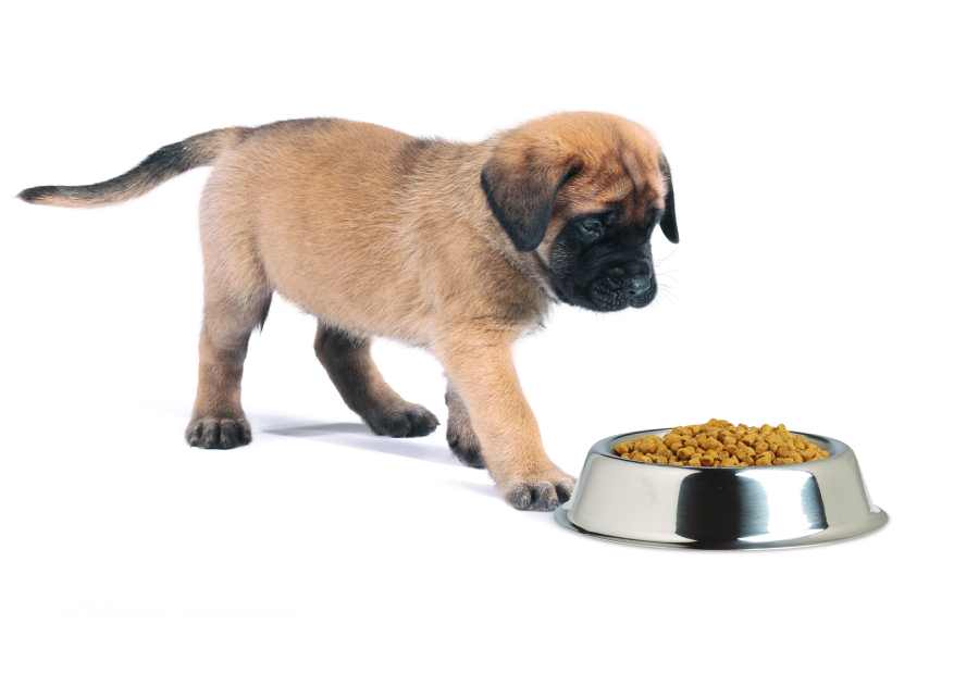 Dla najlepszego startu w życiu