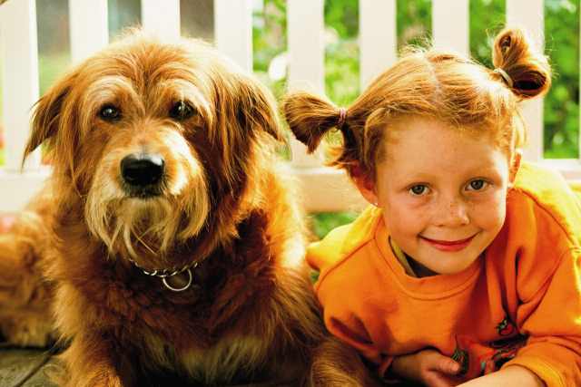 Największa ogólnopolska wystawa umieszczania zwierząt ze schronisk odbędzie się 20 września