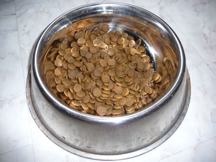 Karmienie w czasach kryzysu