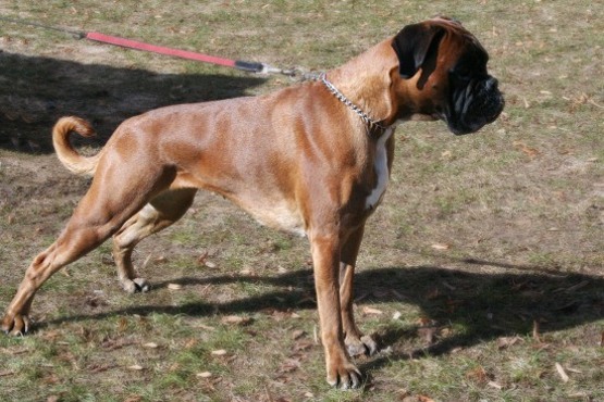 Niezbędne jest długie i szczęśliwe życie lub właściwe odżywianie