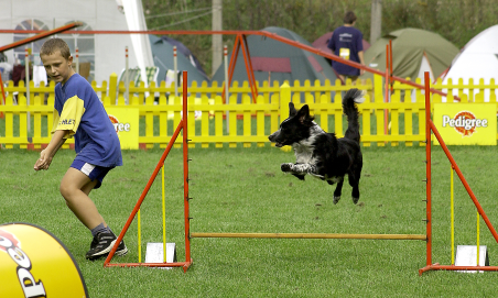 Zaproszenie: Vrchlabské hopping