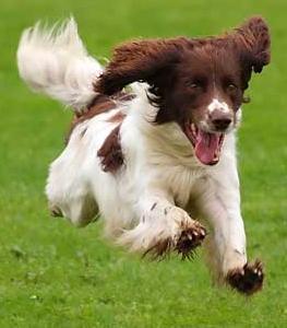 Wezwanie dla początkujących